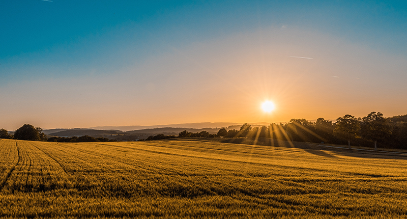 博亿堂官网使命