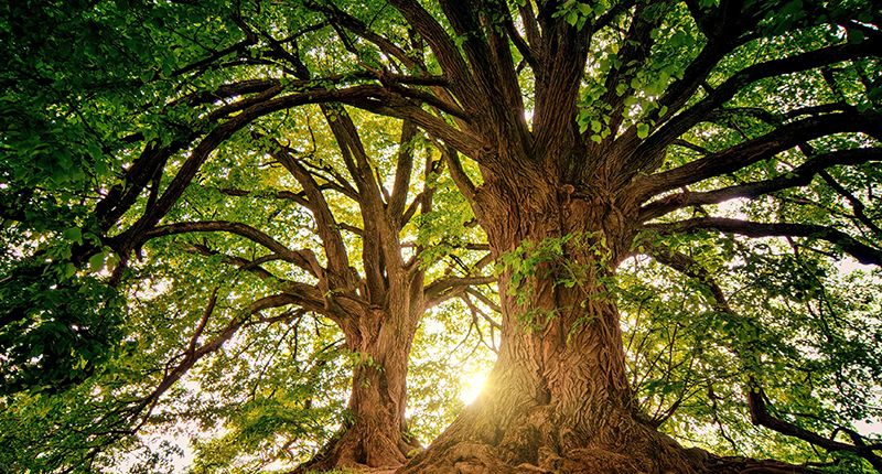 博亿堂官网底蕴